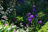 148 Sissinghurst Place and Garden