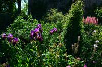 151 Sissinghurst Place and Garden