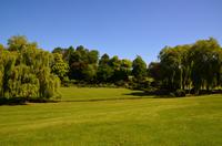 161 Leeds Castle and Garden