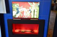 173 Leeds Castle and Garden