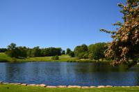 175 Leeds Castle and Garden