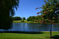 182 Leeds Castle and Garden