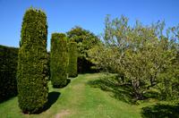 206 Penshurst Place and Garden