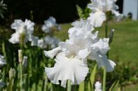 210 Penshurst Place and Garden