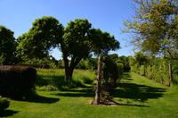 217 Penshurst Place and Garden