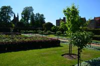 223 Penshurst Place and Garden