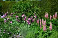 224 Penshurst Place and Garden