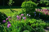 225 Penshurst Place and Garden