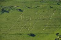 232 Long Man of Wilmington