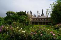 236 Brighton, Royal Pavilion