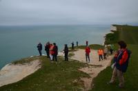 242 Beachy Head