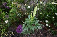 266 West Dean Gardens