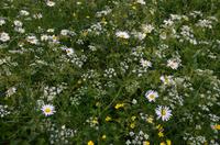 268 West Dean Gardens