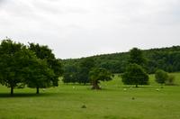 274 West Dean Gardens