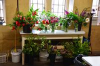 301 Knightshayes Court