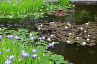 314 Knightshayes Court