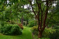 318 Knightshayes Court