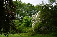 320 Knightshayes Court