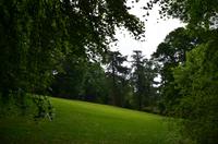 321 Knightshayes Court