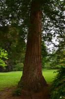 322 Knightshayes Court