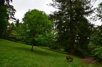 323 Knightshayes Court