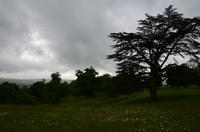 329 Knightshayes Court