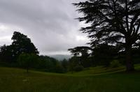 331 Knightshayes Court