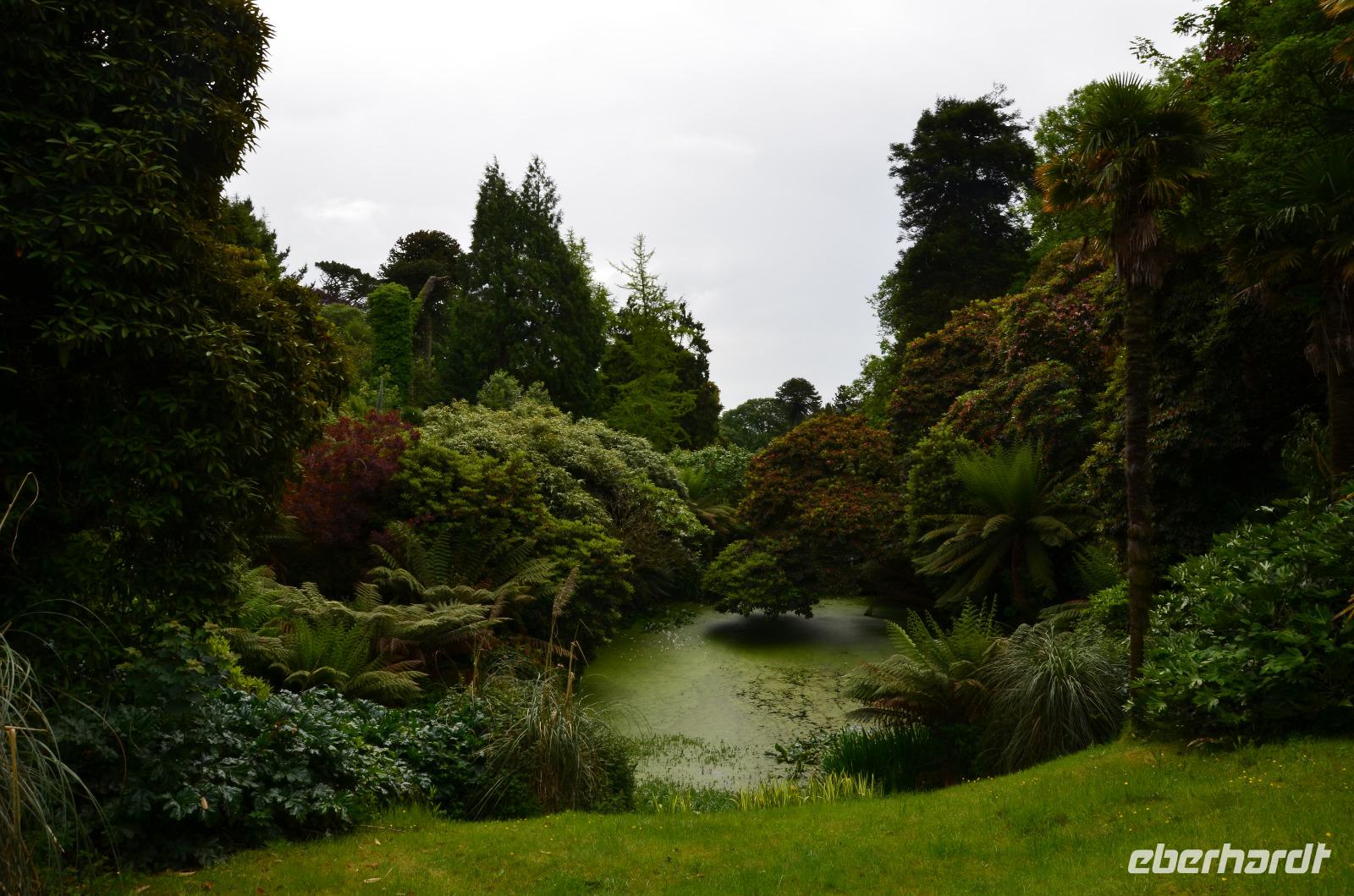 358 The lost Gardens of Heligan