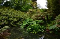 360 The lost Gardens of Heligan