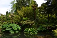 361 The lost Gardens of Heligan