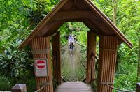 363 The lost Gardens of Heligan