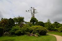 368 The lost Gardens of Heligan