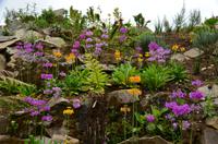 371 The lost Gardens of Heligan