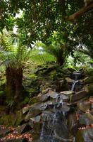 372 The lost Gardens of Heligan