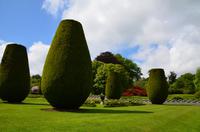 389 Cornwall, Lanhydrock