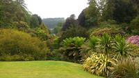 411 Cornwall, Trebah Garden