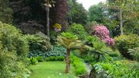 413 Cornwall, Trebah Garden