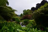 426 Cornwall, Trebah Garden