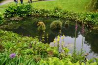 427 Cornwall, Trebah Garden