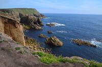 455 Cornwall, Lands End