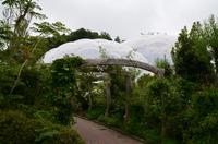 463 Cornwall, Eden Project