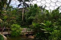 467 Cornwall, Eden Project
