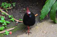 471 Cornwall, Eden Project