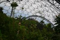474 Cornwall, Eden Project