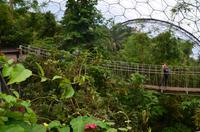 475 Cornwall, Eden Project