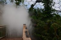 476 Cornwall, Eden Project