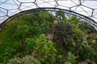 477 Cornwall, Eden Project