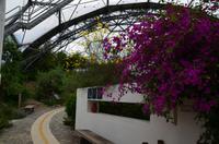 480 Cornwall, Eden Project
