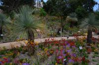 481 Cornwall, Eden Project