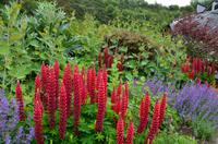 483 Cornwall, Eden Project